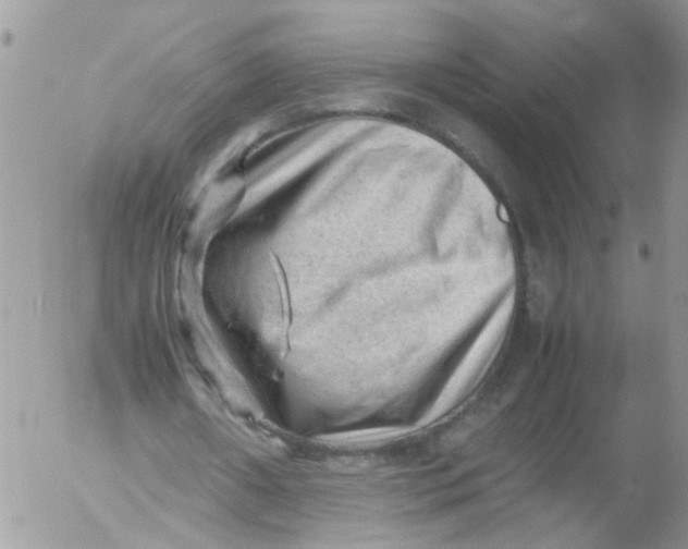 X0000053150482200508012314