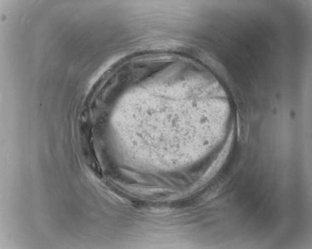 X0000053150483200508012314