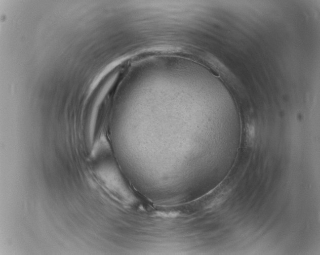 X0000053150484200508012314