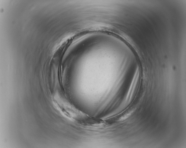 X0000053150485200508012314