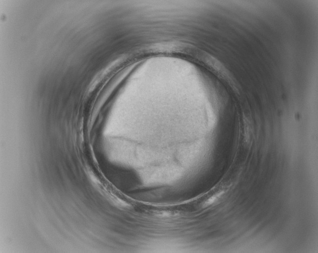 X0000053150486200508012314