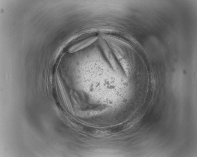 X0000053150487200508012314