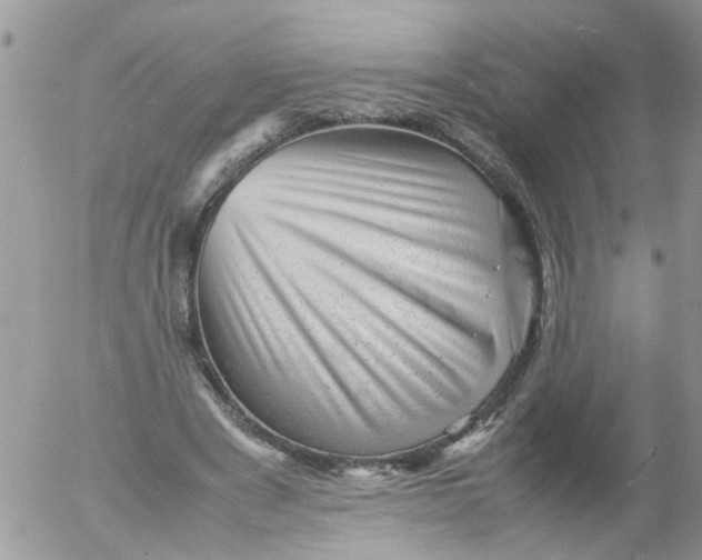 X0000053150489200508012313