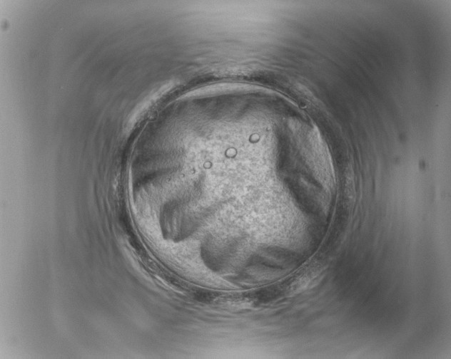 X0000053150491200508012313