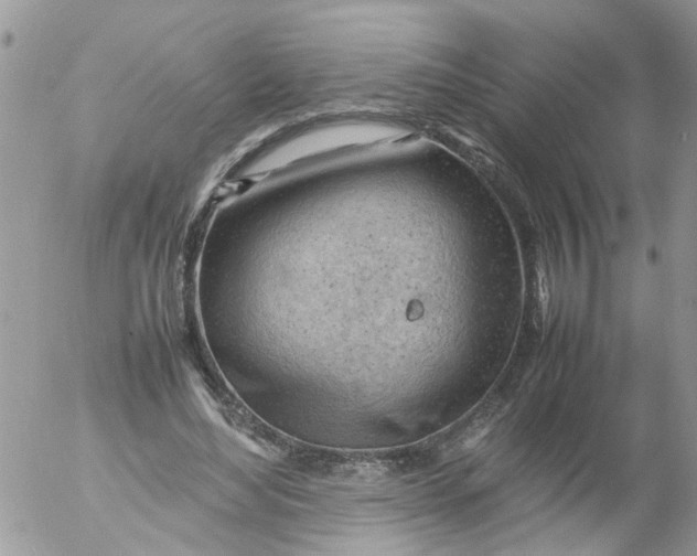 X0000053150492200508012313