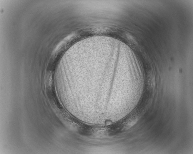 X0000053150495200508012313