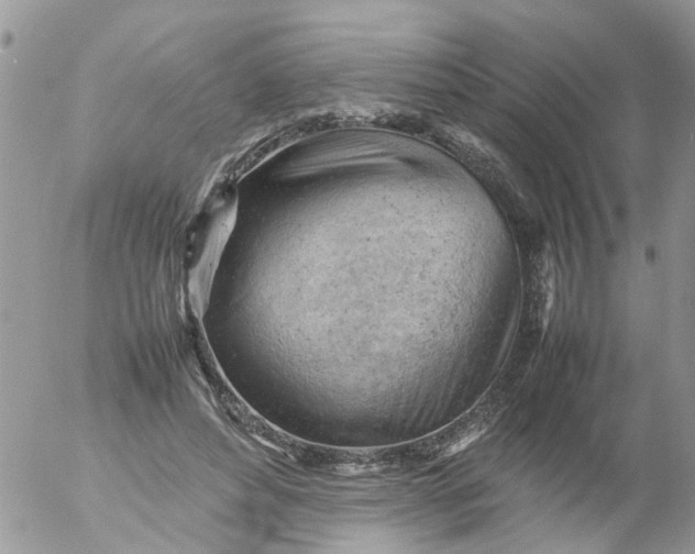 X0000053150496200508012313