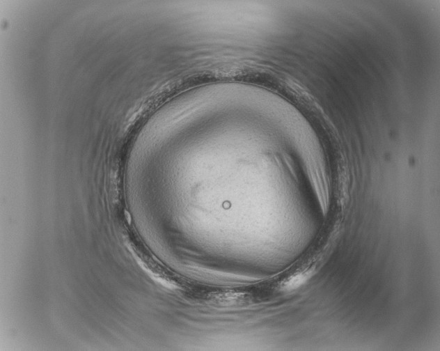 X0000053150497200508012313