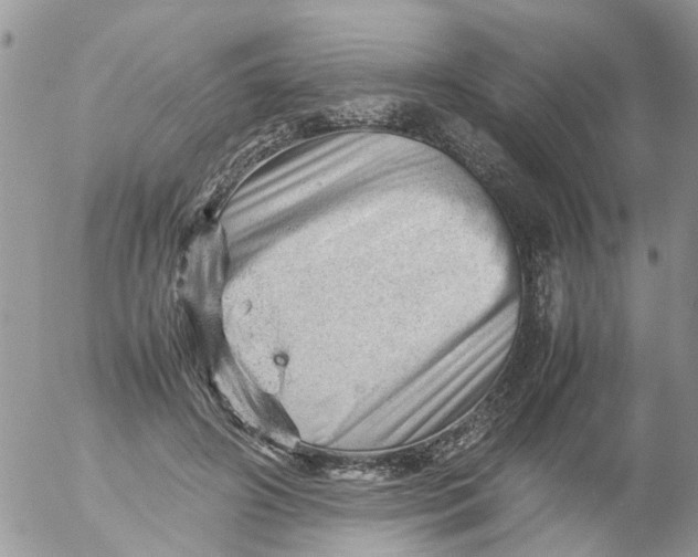 X0000053150498200508012313