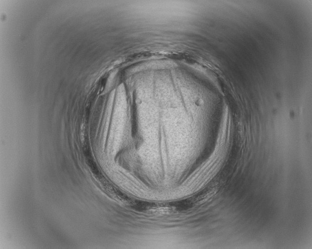 X0000053150499200508012313