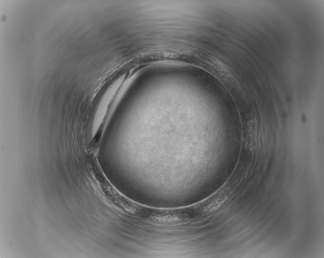 X0000053150500200508012313