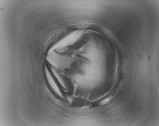 X0000053150501200508012313