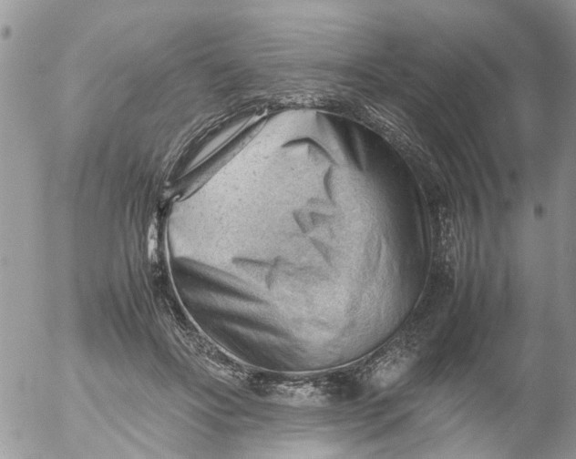 X0000053150502200508012313