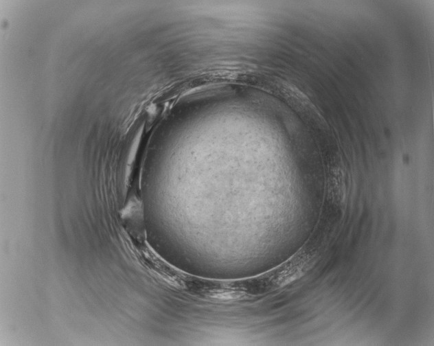 X0000053150504200508012313