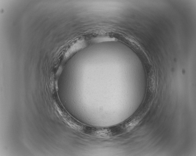 X0000053150505200508012313