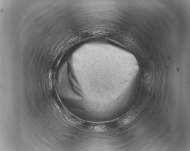 X0000053150506200508012313