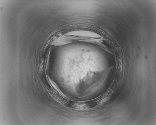 X0000053150507200508012313