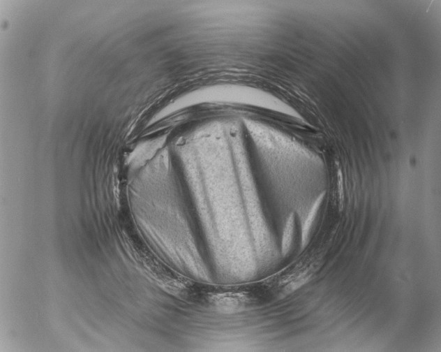 X0000053150508200508012313