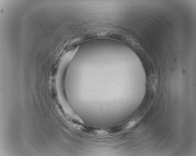 X0000053150509200508012313