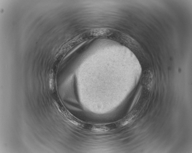 X0000053150510200508012313