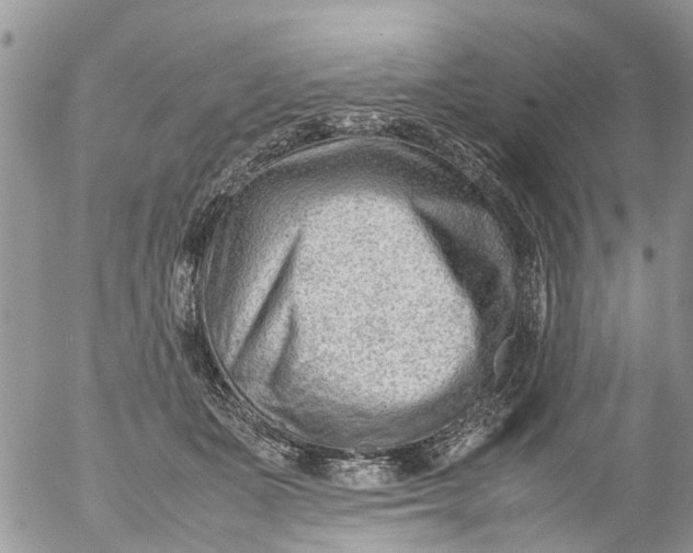 X0000053150511200508012313