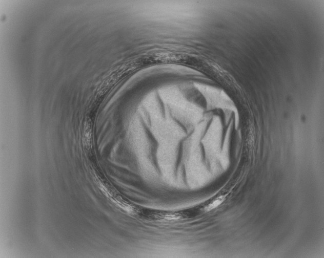 X0000053150513200508012313