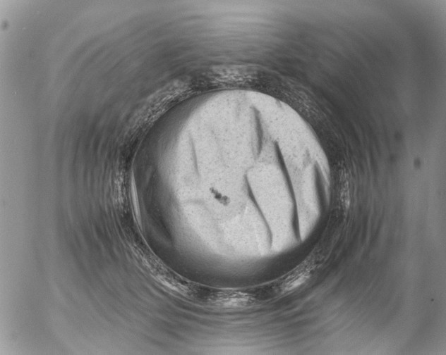 X0000053150514200508012313