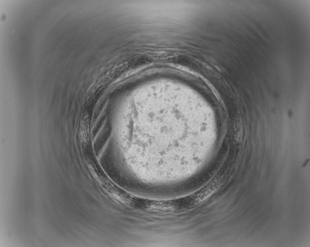 X0000053150515200508012313