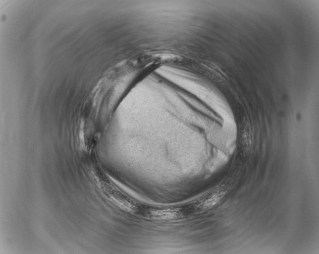 X0000053150516200508012313