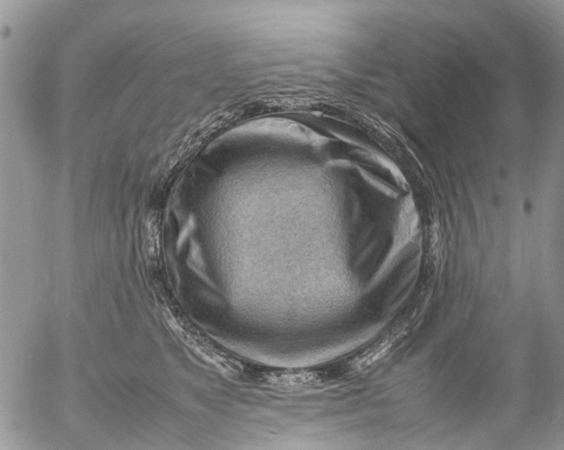 X0000053150517200508012313