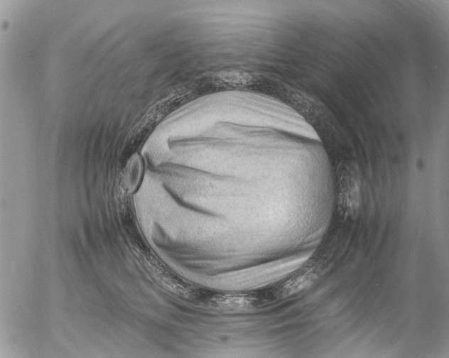 X0000053150518200508012313