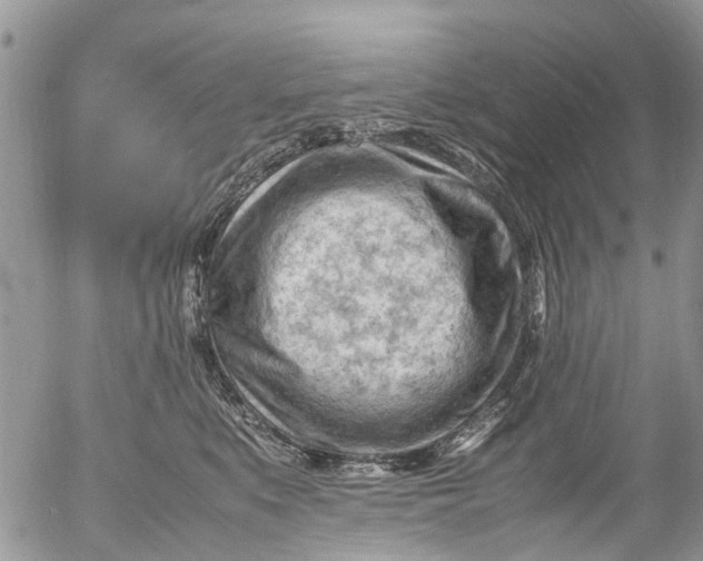 X0000053150519200508012313