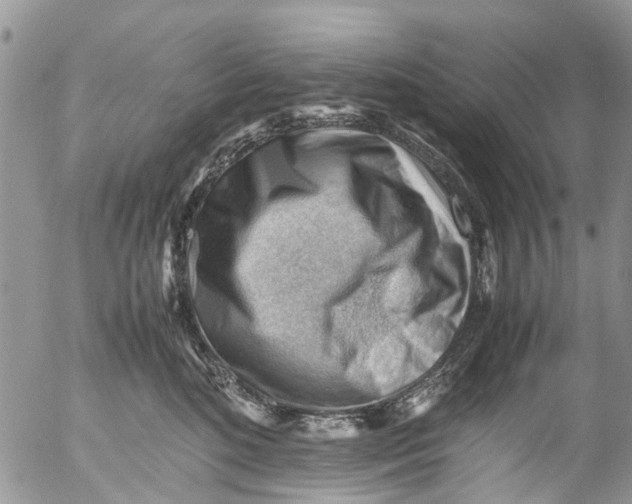 X0000053150520200508012313