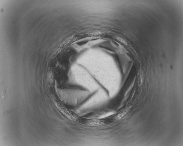 X0000053150521200508012313