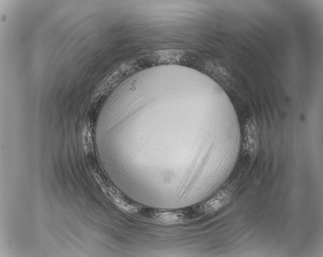 X0000053150522200508012313