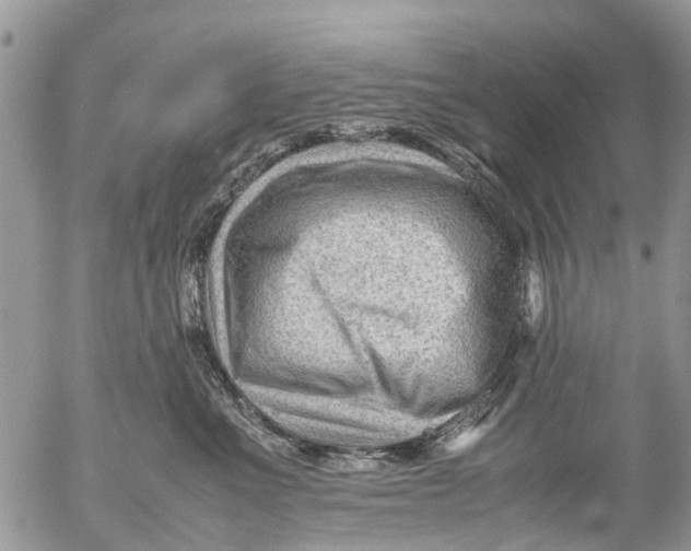 X0000053150523200508012313