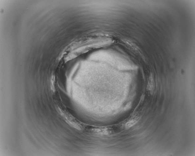 X0000053150524200508012313