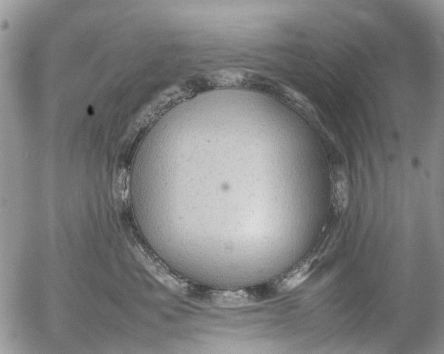 X0000053150525200508012313