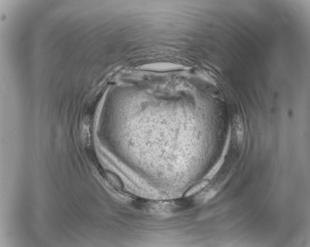 X0000053150527200508012313