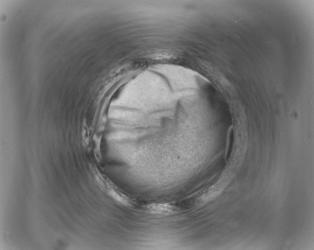 X0000053150528200508012313