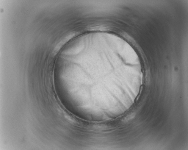 X0000053150529200508012312