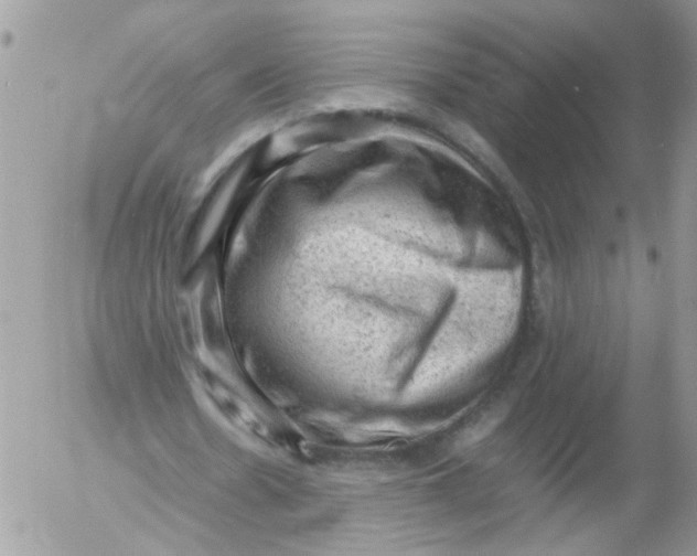 X0000053150530200508012312