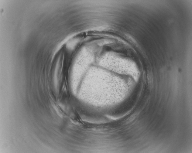 X0000053150532200508012312