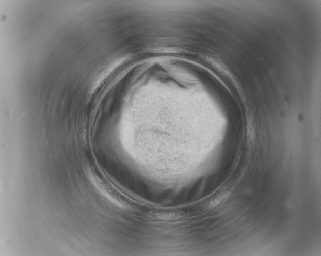 X0000053150533200508012312