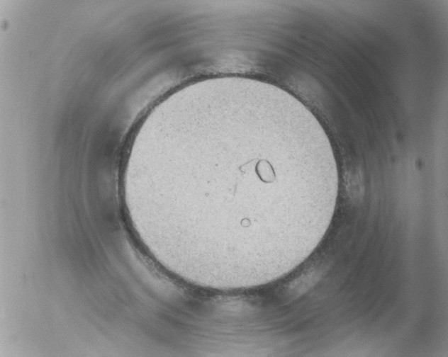 X0000053150534200508012312