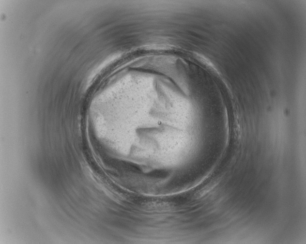 X0000053150535200508012312