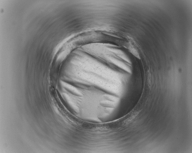 X0000053150536200508012312