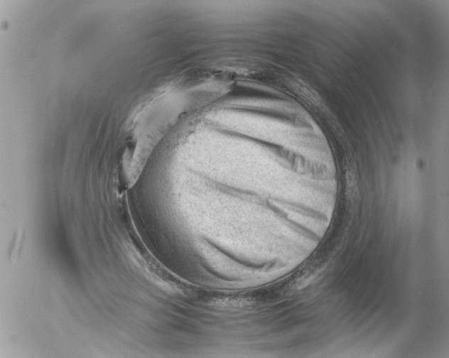 X0000053150537200508012312