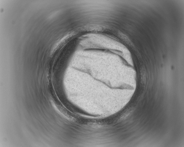 X0000053150538200508012312