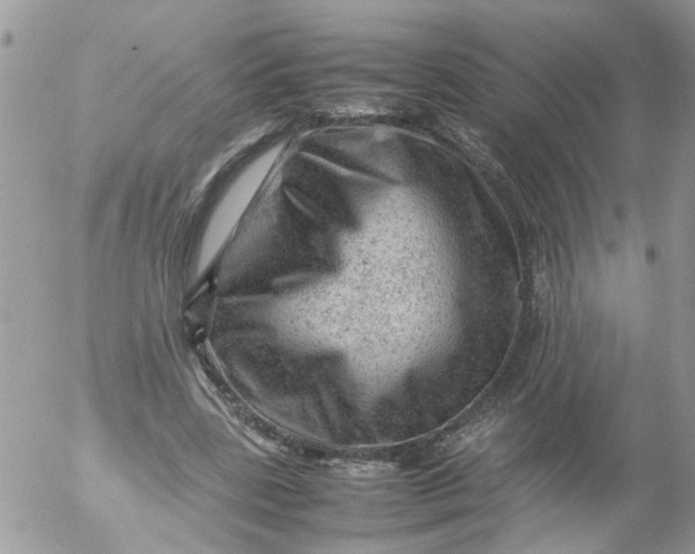 X0000053150539200508012312